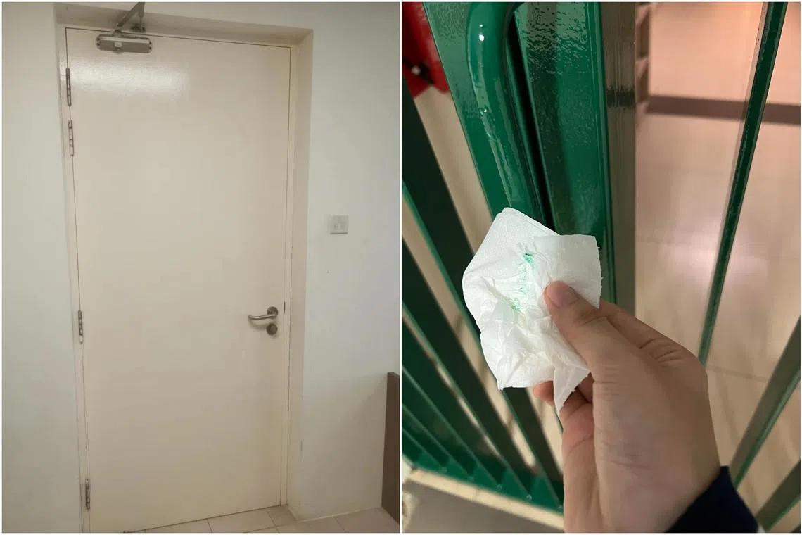 The paint job is part of the dormitory’s regular refurbishment.