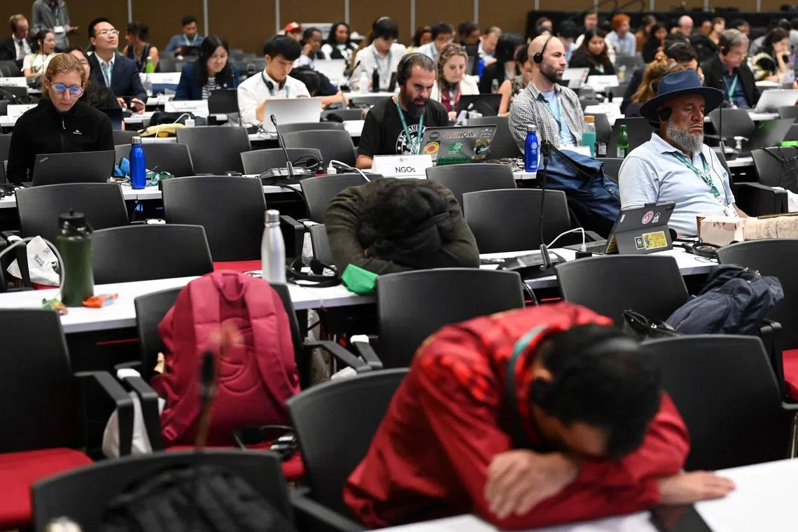 Delegates attend the last plenary session of the COP16 Summit in Cali, Colombia on November 1, 2024. The world's biggest nature protection conference agreed in Cali, Colombia on November 1 to create a permanent body to represent the interests of Indigenous people under the UN's biodiversity convention. (Photo by JOAQUIN SARMIENTO / AFP)