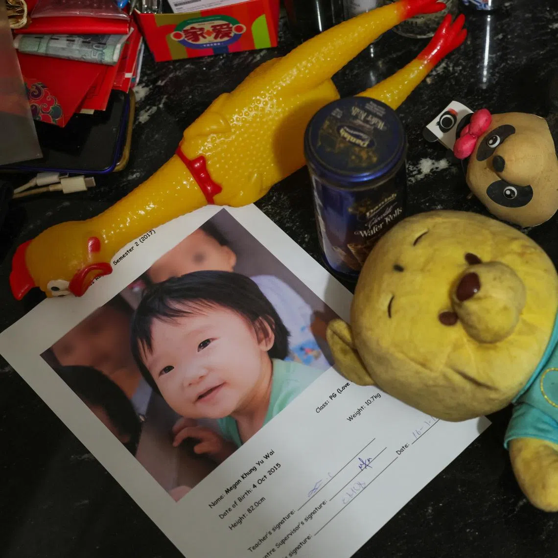 An independent review into the death of four-year-old Megan Khung had identified multiple lapses across agencies and prompted a series of reforms to strengthen Singapore’s child protection system.