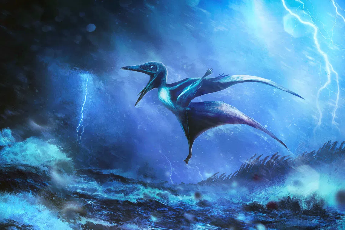 An artist’s impression of a tiny Pterodactylus hatchling struggling against a raging tropical storm about 150 million years ago during the Jurassic Period, inspired by fossil discoveries in Germany. Pterodactylus is a genus of pterosaur, the flying reptiles that lived during the age of dinosaurs. The image was released by the University of Leicester on September 5, 2025. Rudolf Hima/Handout via REUTERS
