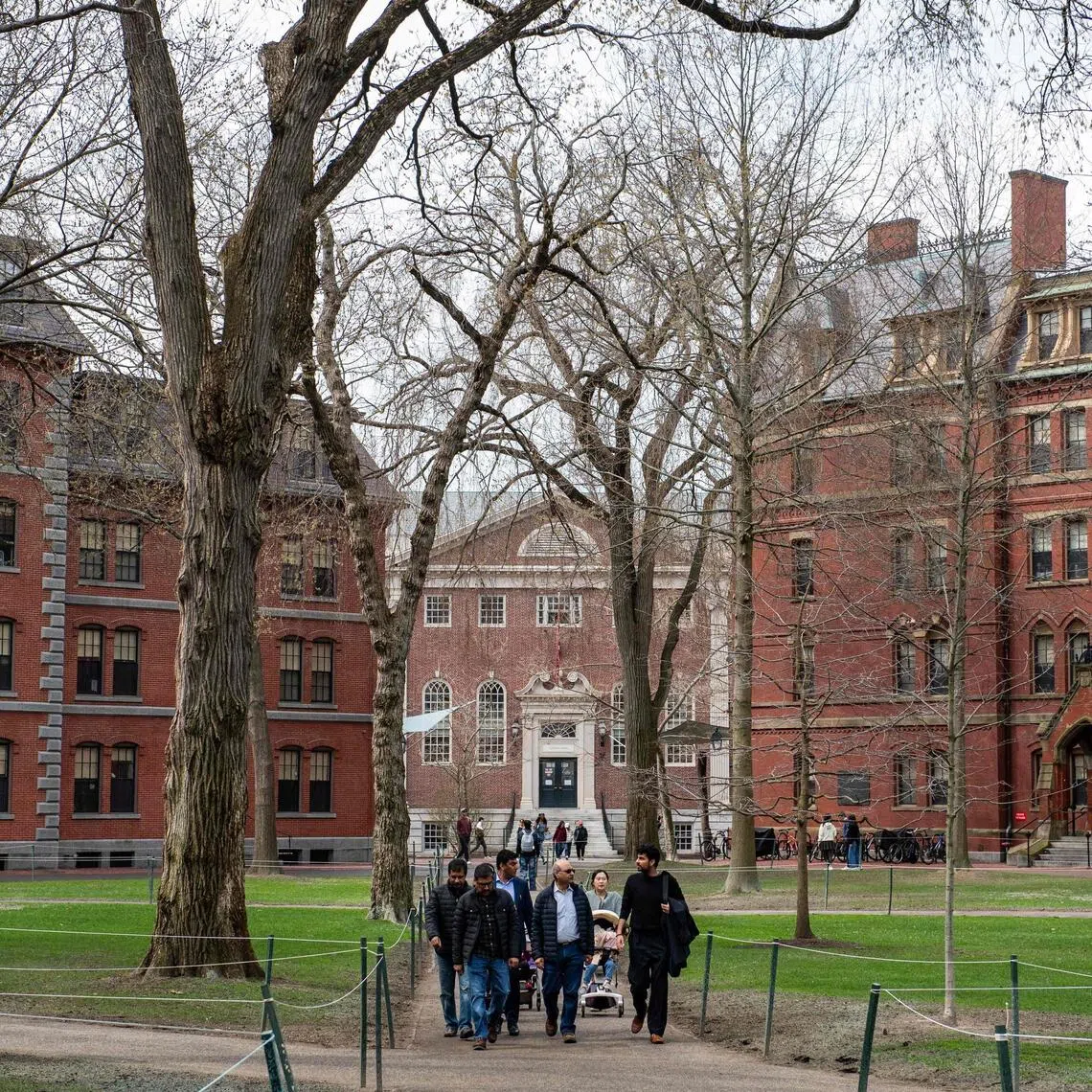 International students now make up more than a quarter of Harvard’s student body – a marked increase from 19.7 per cent in 2010.