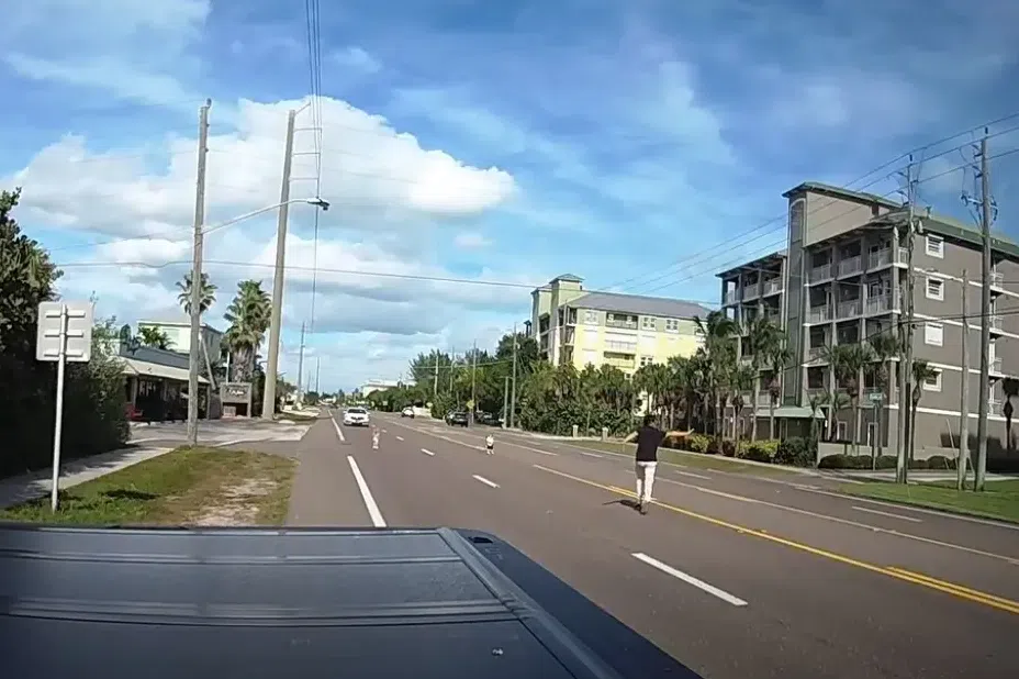 Man runs into traffic to rescue 2 toddlers on busy Florida highway