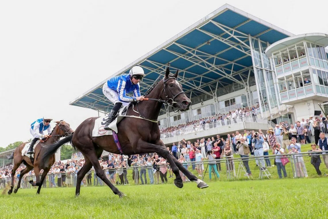 Timeforshowcasing (Jack Mitchell) winning the Group 2 German 1000 Guineas (1,600m) in Dusseldorf on May 31. The Charlie Johnston-trained colt will bid for a second German feature success in the Group 1 Grand Dallmayr Prize (2,000m) in Munich on July 26.

PHOTO: WETTSTAR.DE/ MARC RUHL