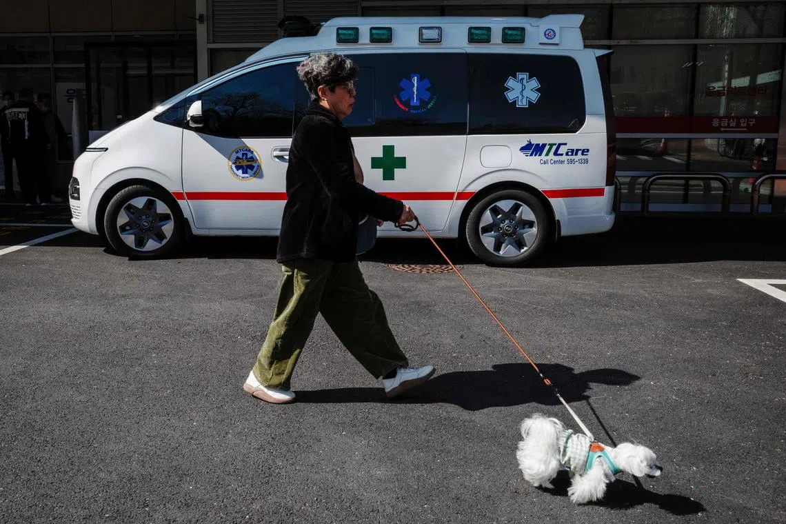 From April 27, government approval will be required to own certain dog breeds considered dangerous under the Animal Protection Act.