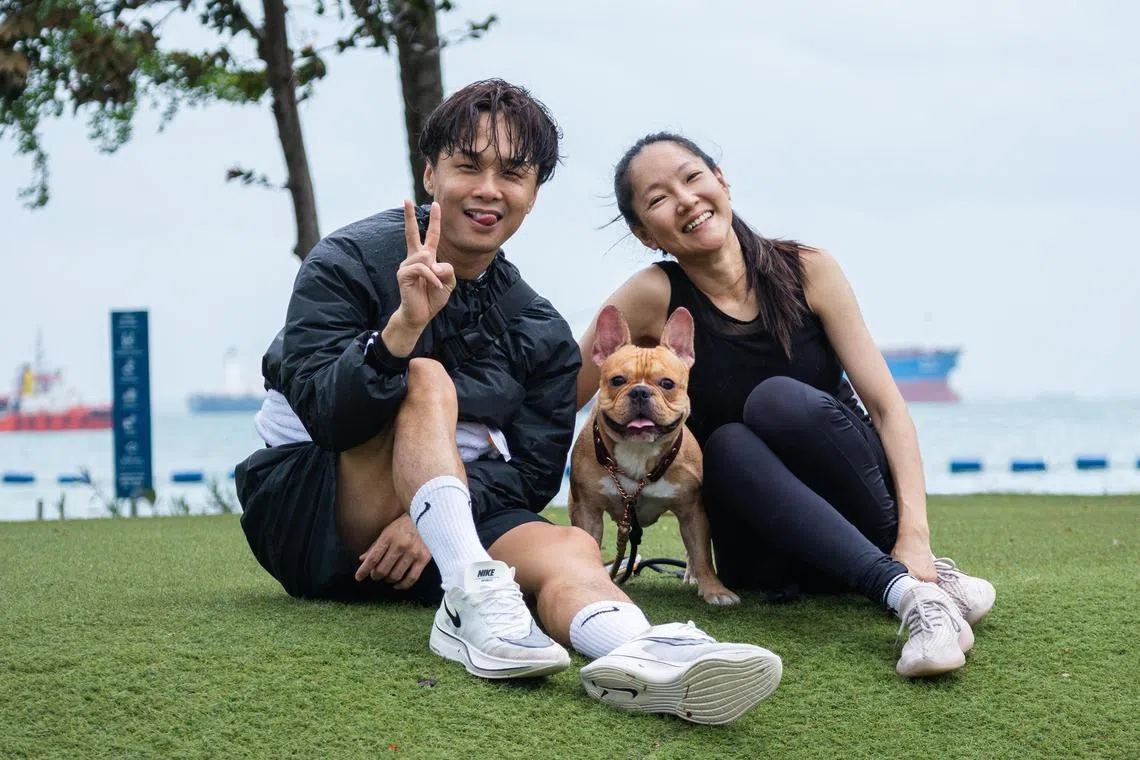 Happier times: Mr Jackie See and Ms Judyvein Cheng with their late French bulldog Wangcai.



Copyright: Courtesy of Judyvein Cheng