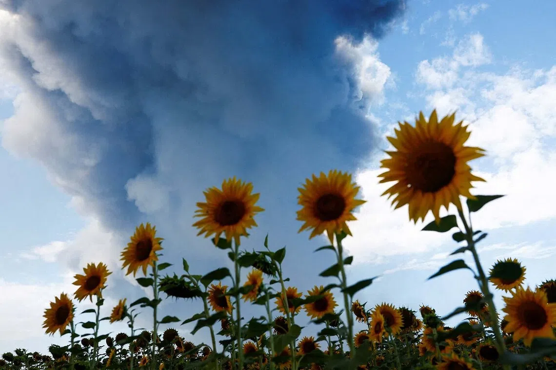 Smoke from a warehouse, which was hit by a Russian drone strike, rises near a field of sunflowers, amid Russia's attack on Ukraine, in Kyiv region, Ukraine, August 27, 2026. REUTERS/Valentyn Ogirenko TPX IMAGES OF THE DAY