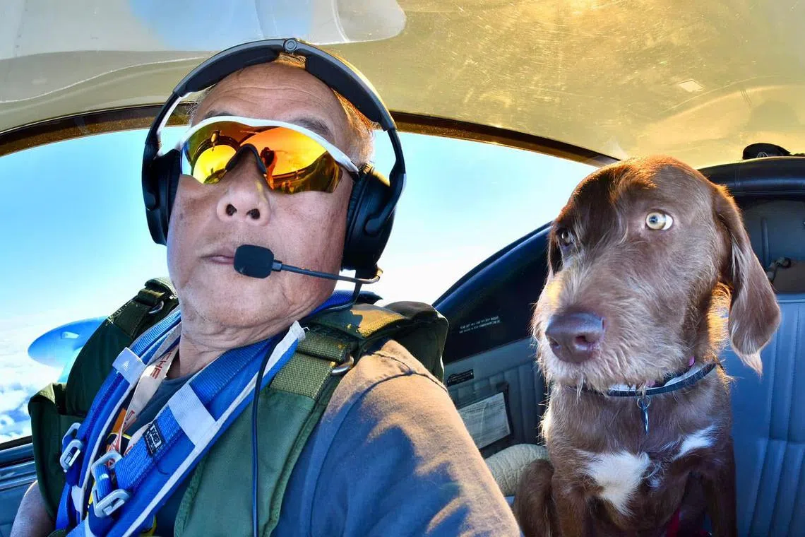 Mr David Tan is a retiree who flies rescue animals from kill shelters to foster homes or animal sanctuaries. He is seen here with mongrel Brady on a flight from St Louis to Chicago in November 2024.