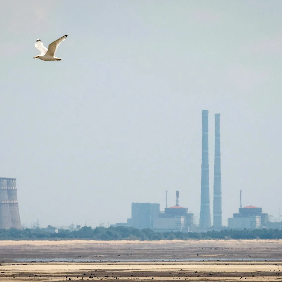 FILE PHOTO: A view shows Zaporizhzhia Nuclear Power Plant from the bank of Kakhovka Reservoir near the town of Nikopol after the Nova Kakhovka dam breached, amid Russia's attack on Ukraine, in Dnipropetrovsk region, Ukraine June 16, 2023. REUTERS/Alina Smutko/File Photo