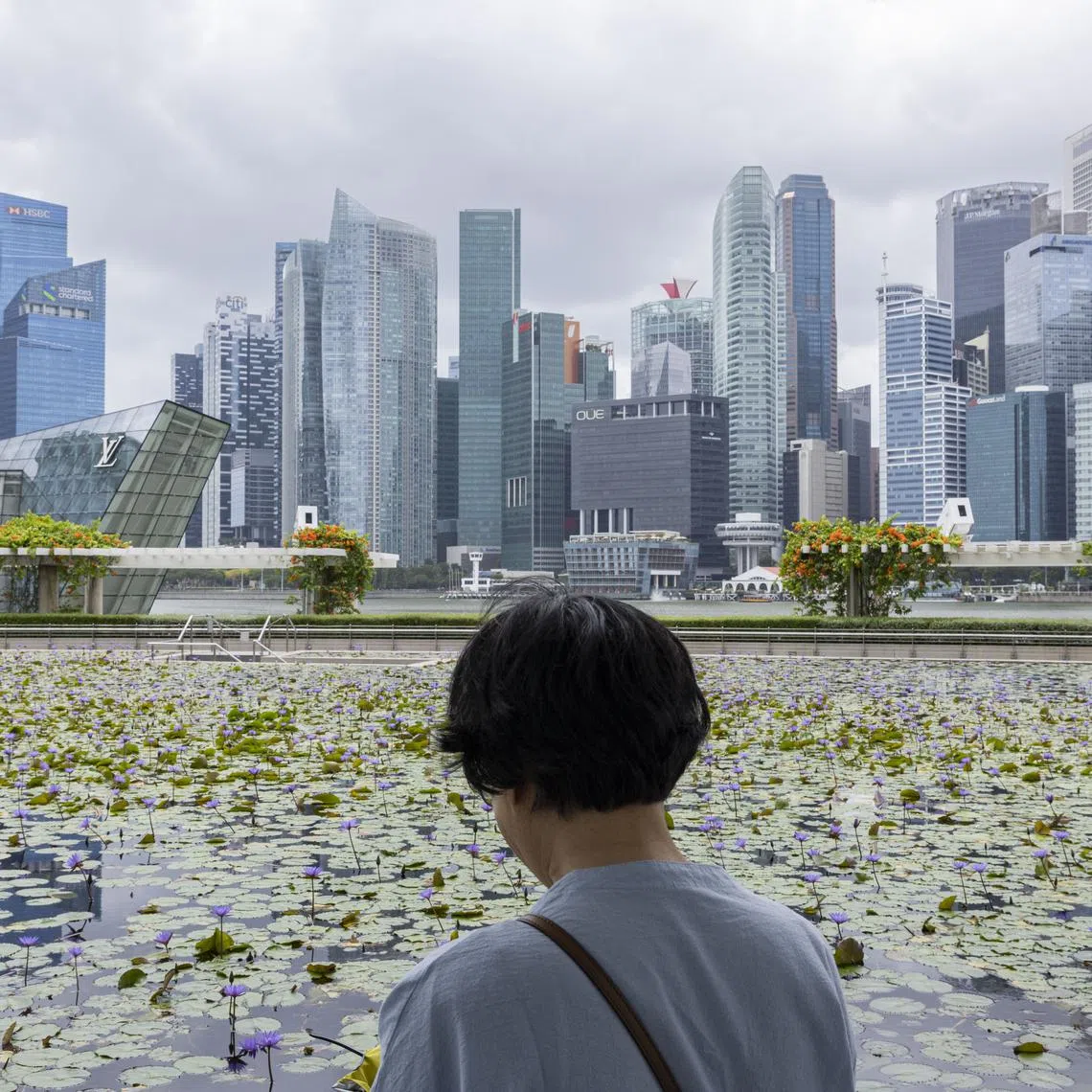 Technology such as data analytics and artificial intelligence can be used to detect fraud, the Public Accounts Committee suggested in its latest report.