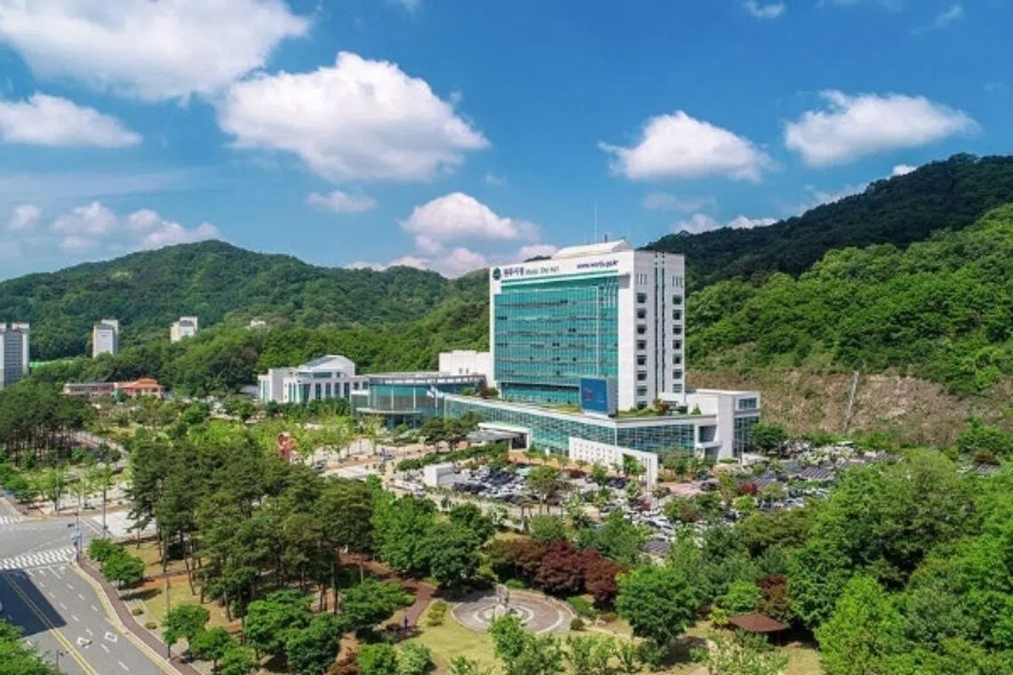 Provincial governments across South Korea are stepping up efforts to attract overseas South Koreans in a bid to curb their declining populations.