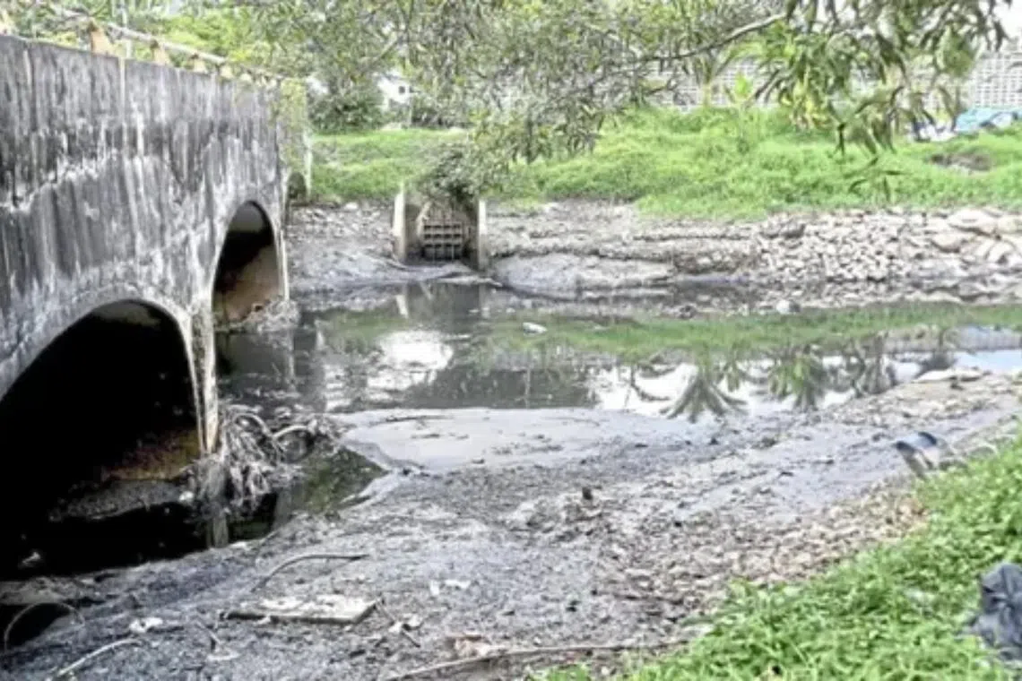 Residents in Johor Bahru cry foul over smelly river
