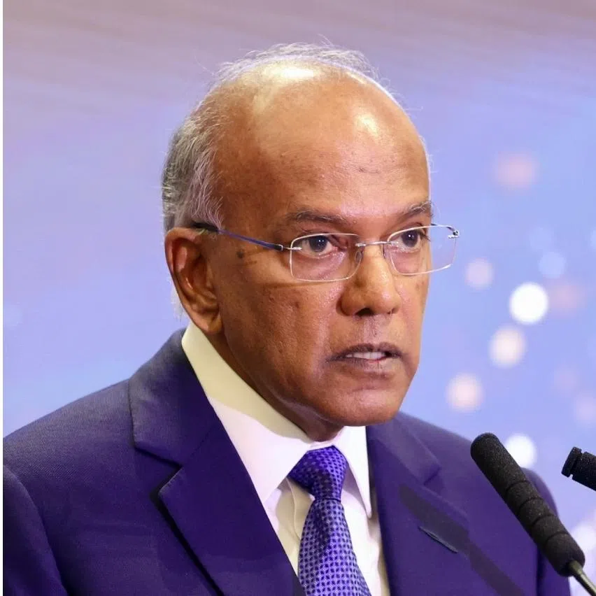 Home Affairs Minister K. Shanmugam (left) and Manpower Minister Tan See Leng claim the article falsely implied they exploited a lack of transparency in their property dealings.