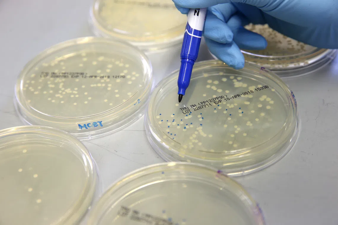 Most antibiotics today are derived from molecules produced by the microbes themselves in competition or collaboration with each other.