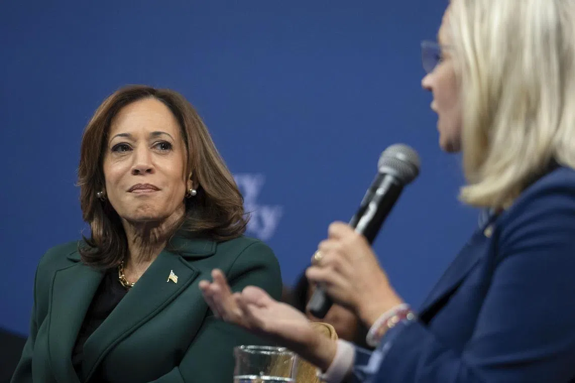 US Vice-President Kamala Harris' presidency campaign set a record for the biggest fund-raising quarter.