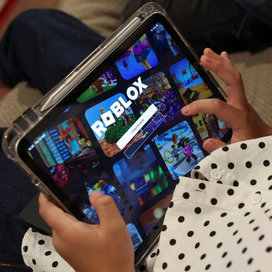 There are 45 million Roblox users in Indonesia where 23 million of it are under 16, the platform's vice-president said.