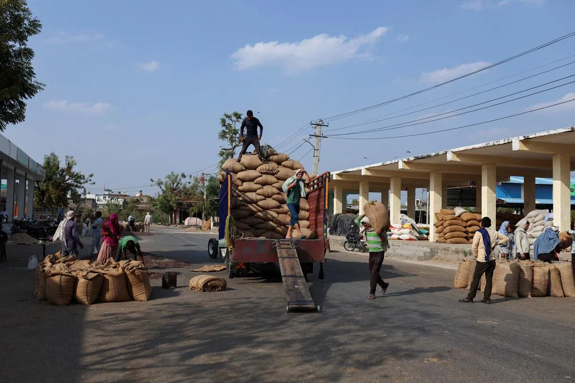 India braces itself for unusually hot March, putting wheat, rapeseed crops at risk, say sources