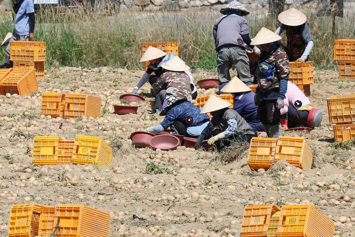 Many migrant workers in South Korea are believed to be subject to discrimination based on their race. 