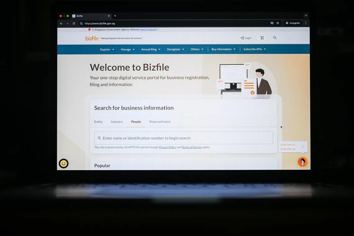Business owners, lawyers and corporate service providers have faced issues on Bizfile since its revamp on Dec 9.