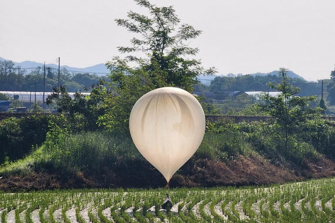 A balloon believed to have been sent by North Korea, carrying various objects including what appeared to be trash and excrement, is seen over a rice field at Cheorwon, South Korea on May 29, 2024.