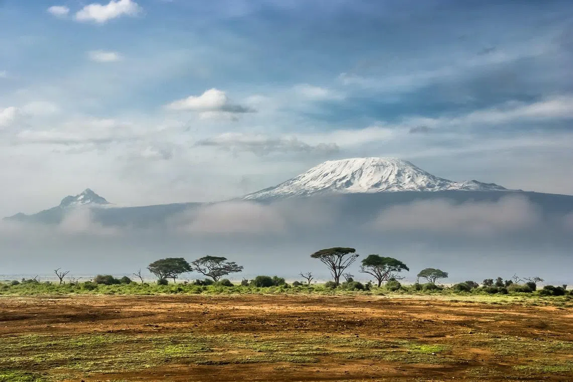 At 5,895m above sea level, Mount Kilimanjaro is the highest peak in the African continent.