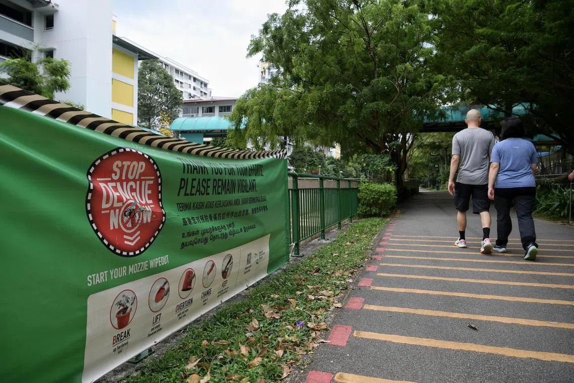 Experts said it is difficult to predict if the number of dengue cases will remain high in 2023.