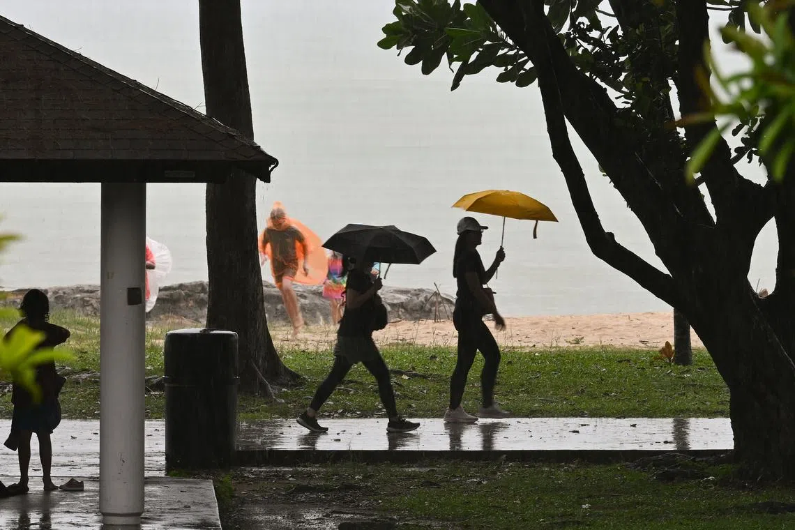 While wet weather resulting in standing water increases mosquito breeding, heavy rains causes a “flushing effect”.