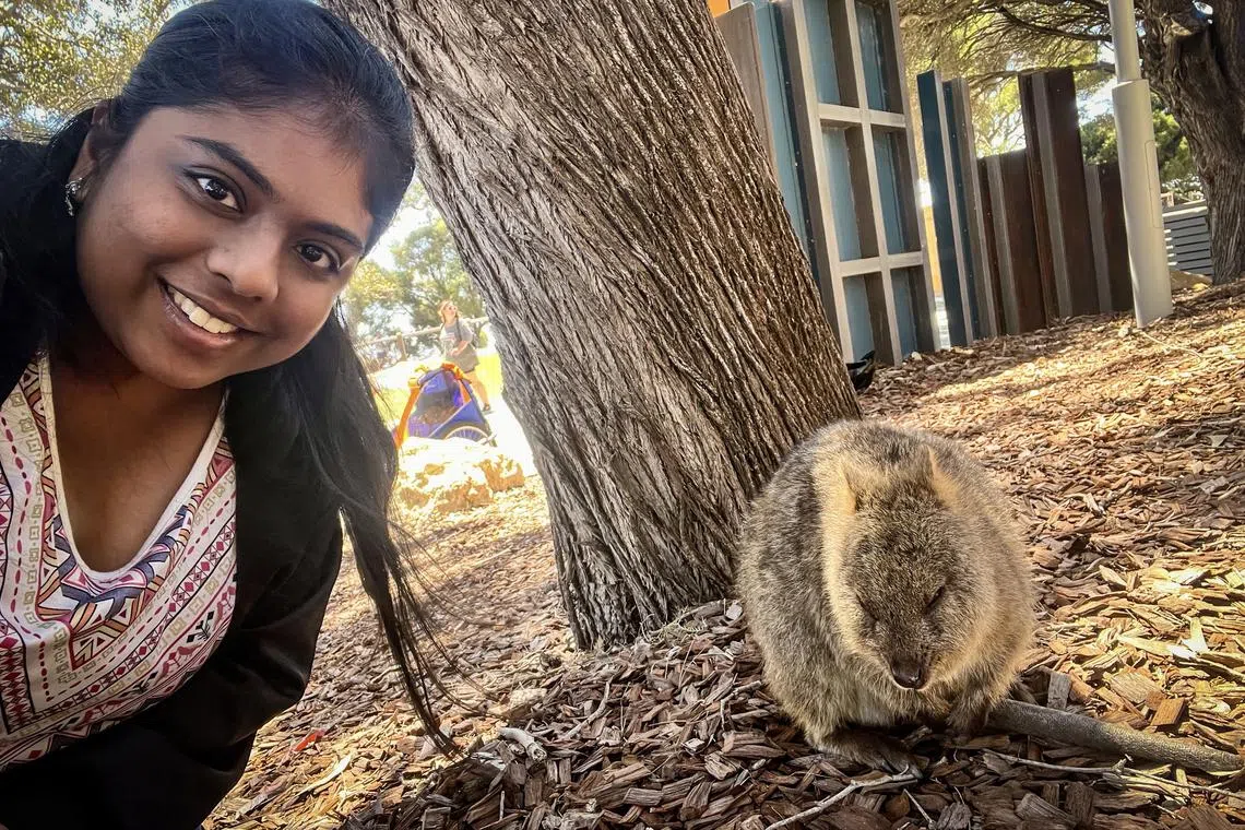 Ms S. Sindoori was delighted to see quokkas, a type of wallaby, up close while working remotely in Perth.  The brand marketing associate at Klook spent a week there as part of a two-week workation Down Under.





