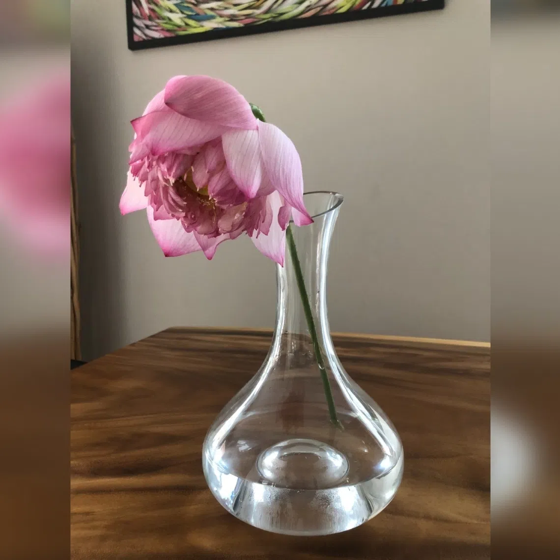 Ensure there is proper ventilation and avoid exposing the bloom to ripening fruit. 