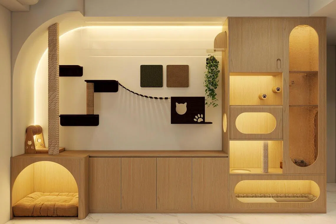 Climbing routes and resting spaces for cats are incorporated into custom carpentry.