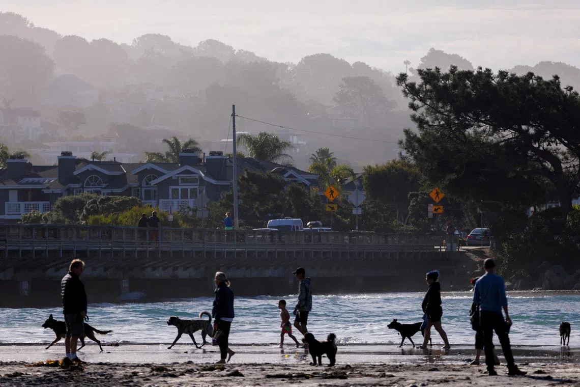 Dog owners bring their animals to the beach during the early morning in Del Mar, California, U.S., November 26, 2023.  REUTERS/Mike Blake/File Photo