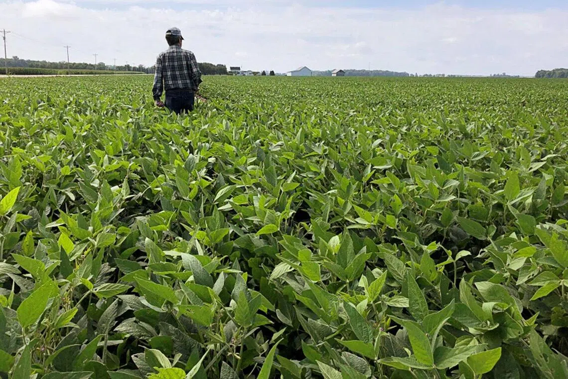 The action echoes support Mr Trump offered during his first term, when the US and China were also locked in a trade war.