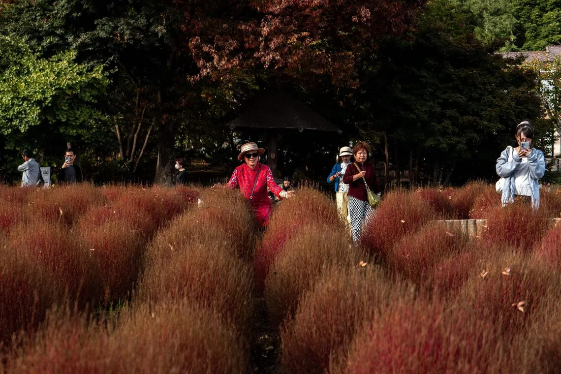 A tourist poses for photographs at Oishi park in the town of Fujikawaguchiko in Yamanashi prefecture.