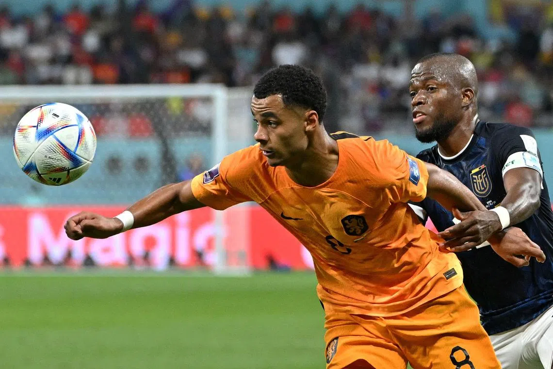 Netherlands' forward Cody Gakpo fights for the ball with Ecuador's Enner Valencia.