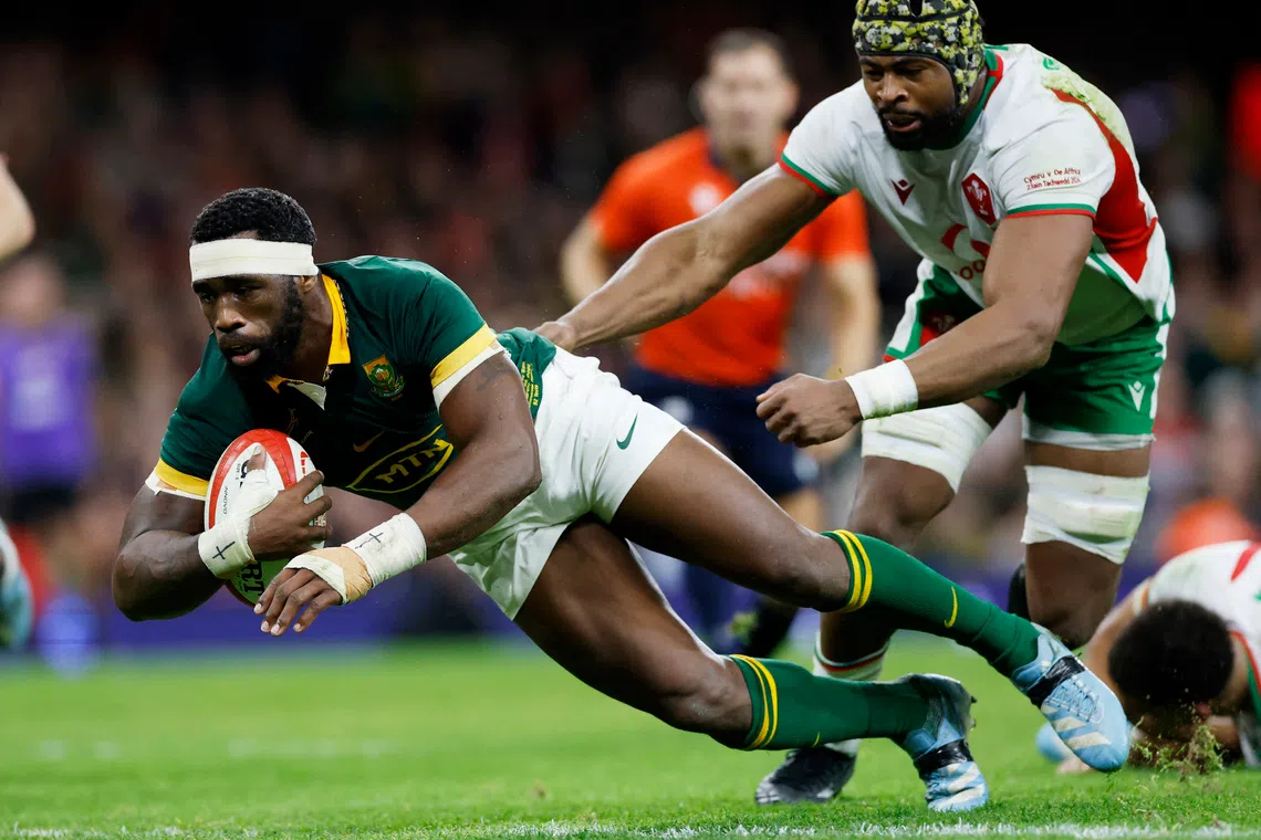 Kolisi braced for Rugby Championship 'semi-final' against Argentina ...