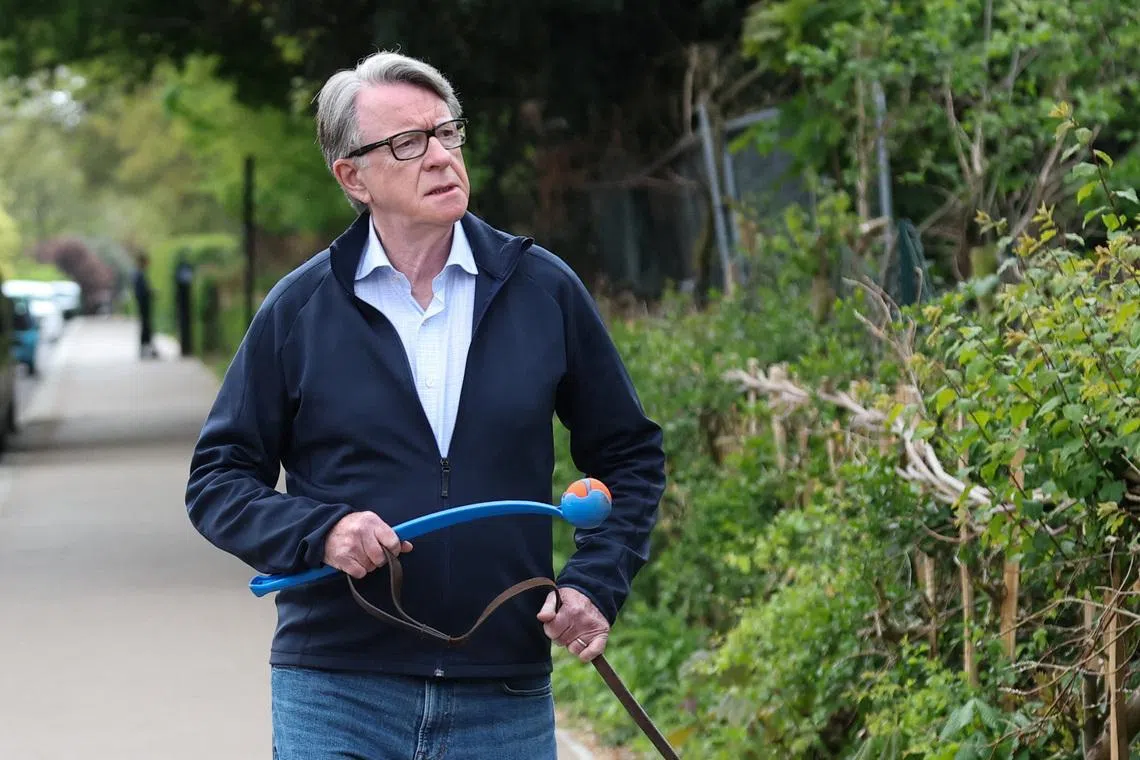 Former British ambassador to the U.S. Peter Mandelson walks with his dog outside his residence, in London, Britain, April 20, 2026. REUTERS/Toby Melville