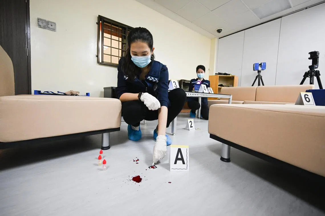 ST20230817_202336572172 dsdna19  Azmi Athni//

Police forensics feature, showcasing a forensic specialist at a mock crime scene identifying evidence, recovering footwear impression and recovering fingerprints. The feature will also showcase other capabilities such as drone imaging, footwear impression recovery research and mixed reality training for blood pattern analysis.

(ST PHOTO: AZMI ATHNI)