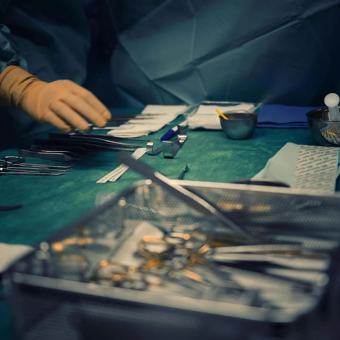 The scientists intended the pig's liver to serve as a bridge until the patient's liver can regenerate or recover.