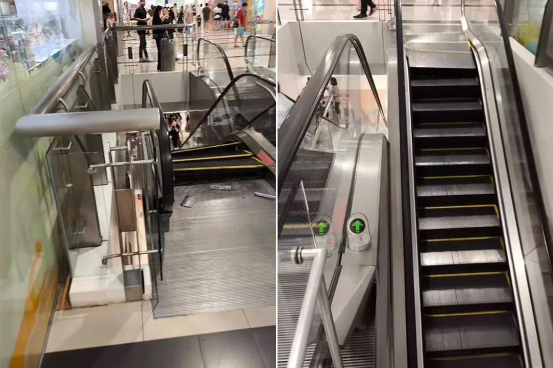 No injuries were reported from the incident, which had occurred on May 4, at Harbourfront Centre.