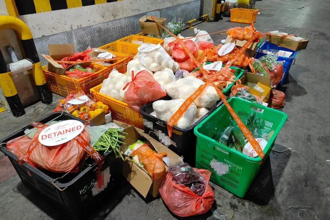 QUY TRÌNH GOM HÀNG VÀ XỬ LÝ BƯU KIỆN THỰC PHẨM ĐI PHÁP