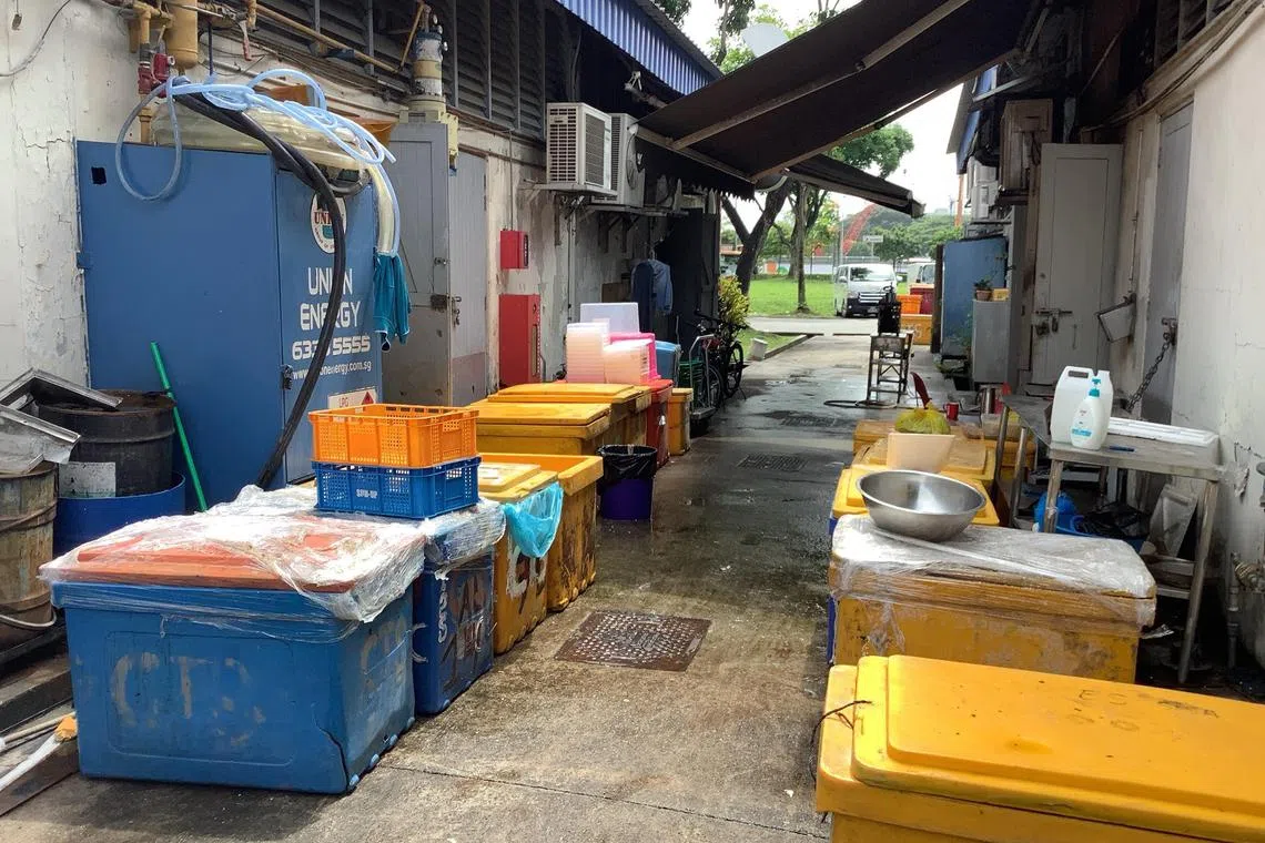 fmsfa26 - Fish processing tools, such as an automated de-scaler and a descaling brush, were found at the unlicensed fish processing establishment.

Credit: Singapore Food Agency