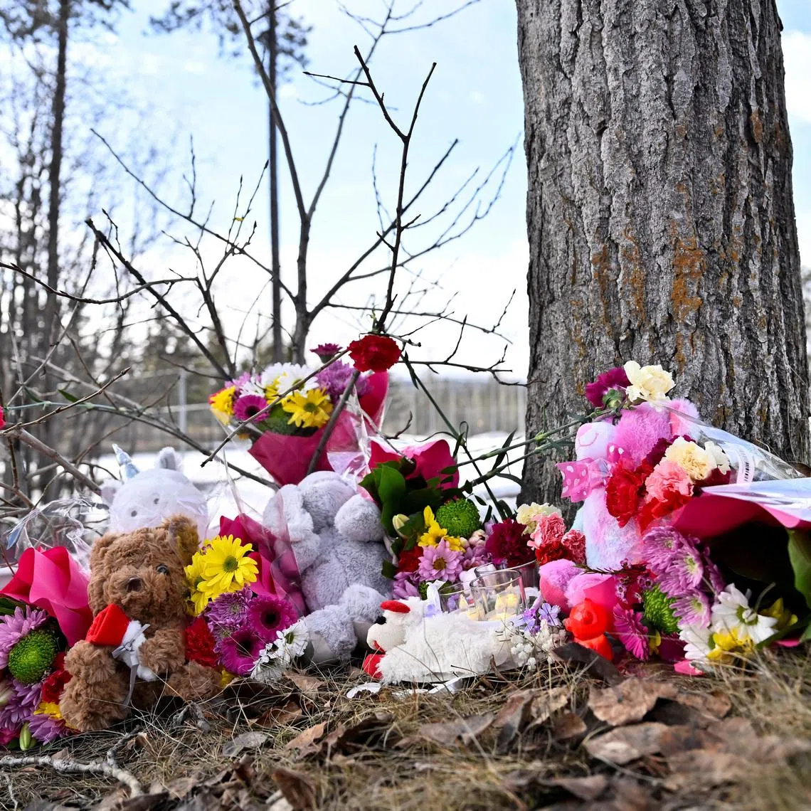 Flowers and toys lie on the ground near the site of a mass shooting at a high school, in the town of Tumbler Ridge, British Columbia, Canada February 11, 2026. REUTERS/Jennifer Gauthier