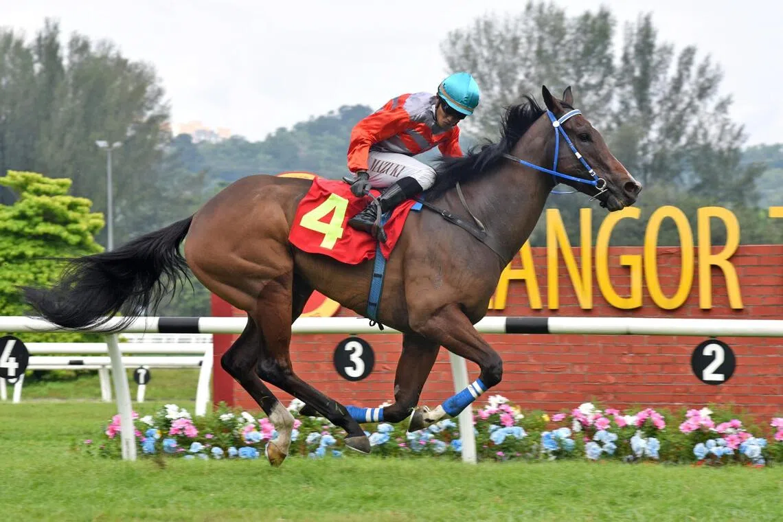 kl29 - Faithful Leader winning on Jan 31 2025.


Credit: SLTC