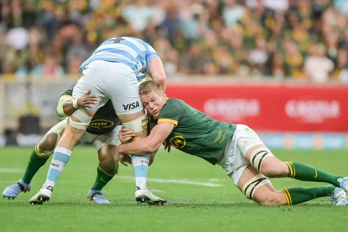 Steph du Toit of South Africa in action during the 2024 Rugby Championship game between South Africa and Argentina.