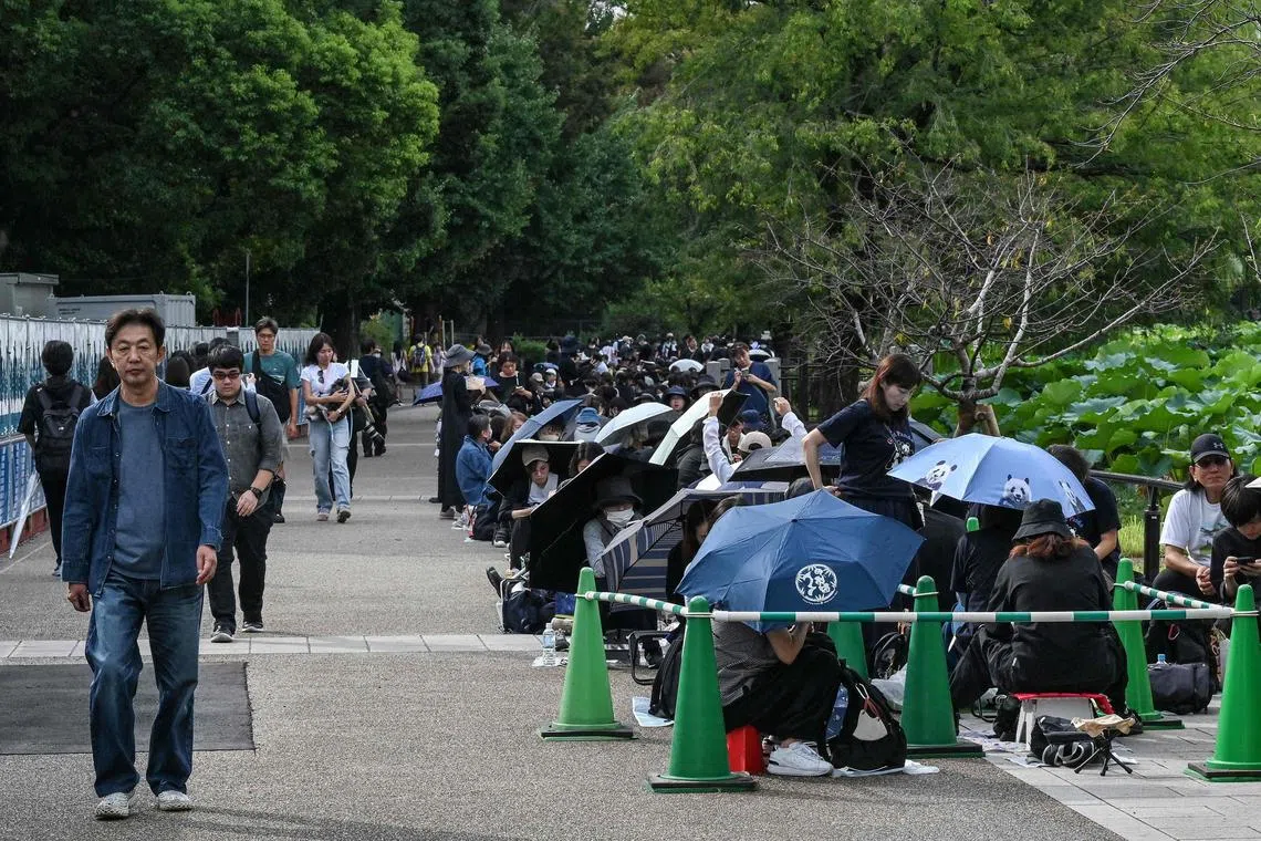 Panda fans (R) queue for the gates to open on the last day of viewing before two pandas are sent back to China after 13 years, at Tokyo’s Ueno Zoo on September 28, 2024. Thousands of thankful, sobbing fans flocked to Tokyo Ueno Zoo on September 28 to bid an emotional farewell to the pair of beloved, ageing pandas before their imminent return to China. (Photo by Richard A. Brooks / AFP) 