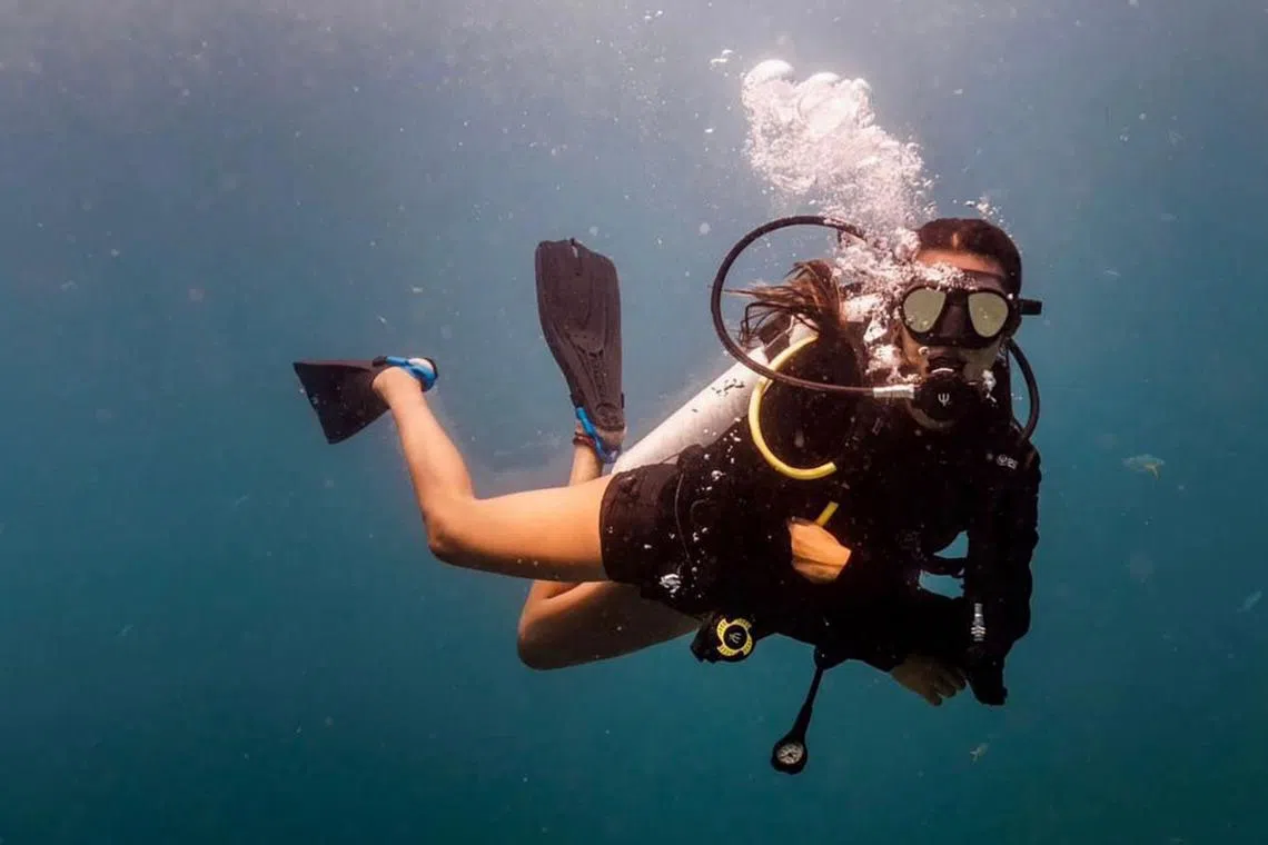 Ms Inez Alsagoff, then 19, working as a shark research intern at non-profit organisation Bimini Shark Lab in the Bahamas.