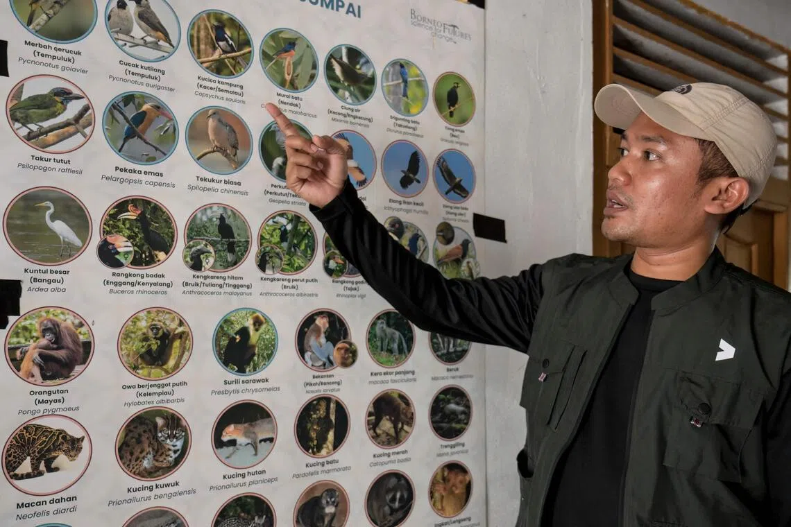 Participants can earn cash for photos of animals in the programme’s list.