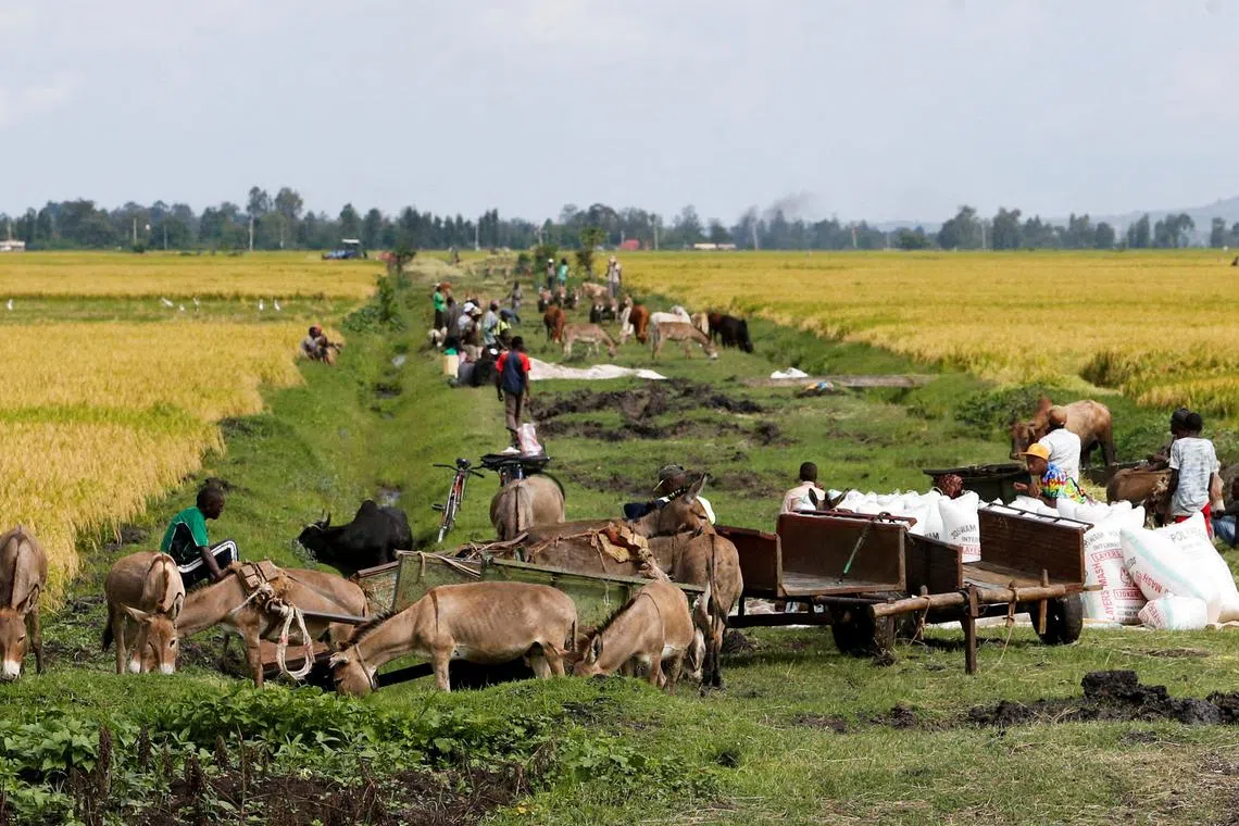 More resources from the Green Climate Fund will be channelled provide credit to farmers to buy clean energy equipment.