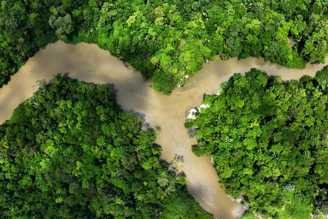 FILE PHOTO: A general view shows the water conditions in the Piraiba river before a summit of Amazon rainforest nations, in Belem, Para state, Brazil August 5, 2023. REUTERS/Ueslei Marcelino/File Photo