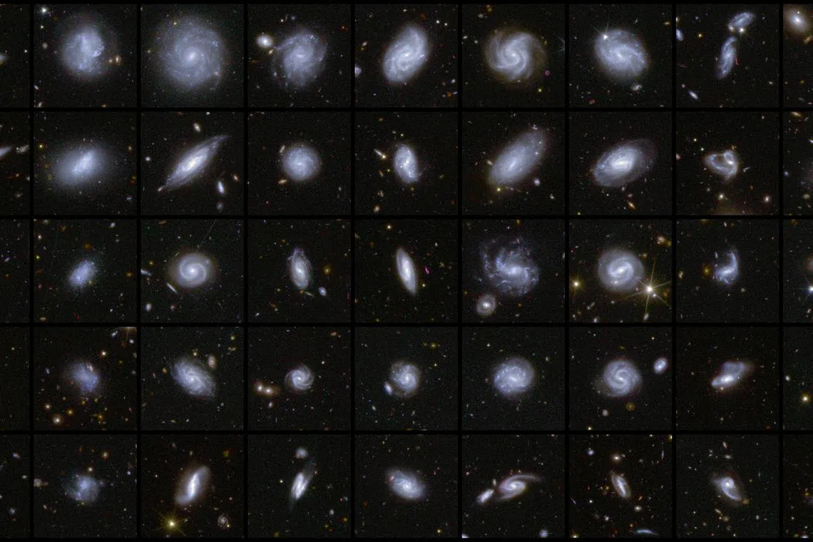 A combination image shows examples of galaxies in different shapes, all captured by the Euclid space telescope during its first observations of three Deep Field areas of the sky, in this handout released by the European Space Agency on March 19, 2025. As part of a Euclid data release, a detailed catalogue of more than 380,000 galaxies was published, classified according to features such as spiral arms, central bars and tidal tails that infer merging galaxies. ESA/Euclid/Euclid Consortium/NASA, image processing by M. Walmsley, M. Huertas-Company, J.-C. Cuillandre/Handout via REUTERS