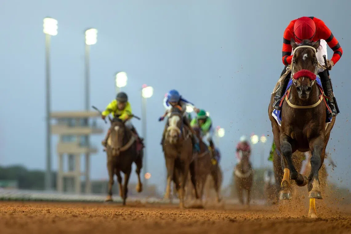 Alnishaar - Alnishaar (Eiad Alturisi) at his maiden win in Riyadh on Nov 27, 2025. The Saudi-bred five-year-old by First Defence is aiming to bounce back from his first-up eighth with a win in the last race of the Taif 11-race programme on Aug 28.

PHOTO: JCSA